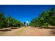00 Tandou Orchards, Menindee NSW 2879