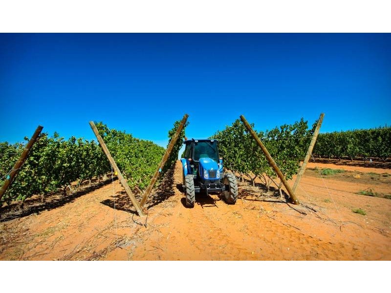 00 Tandou Orchards, Menindee NSW 2879