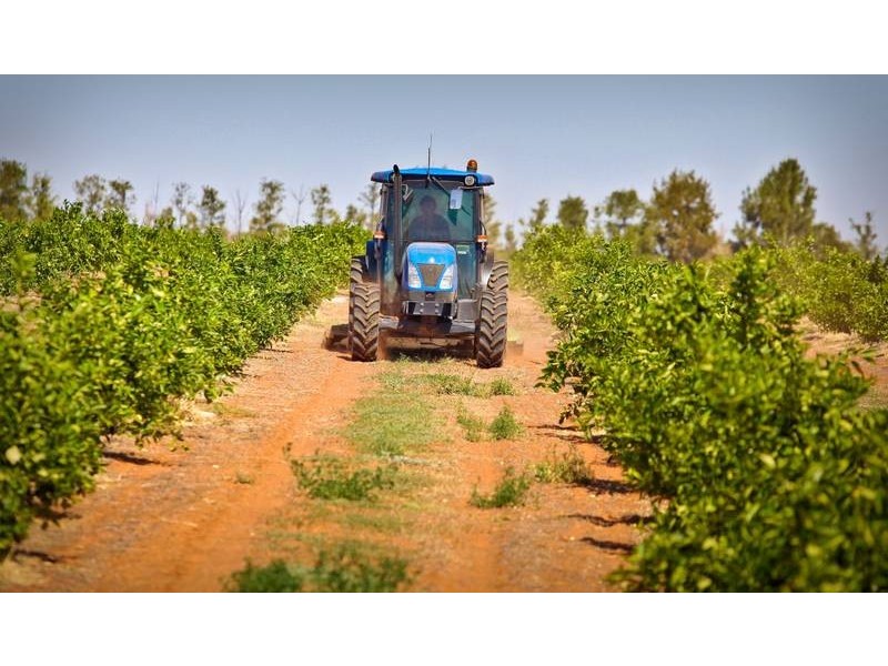 00 Tandou Orchards, Menindee NSW 2879