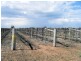 Lot 2,  Swamp Road, Red Cliffs VIC 3496
