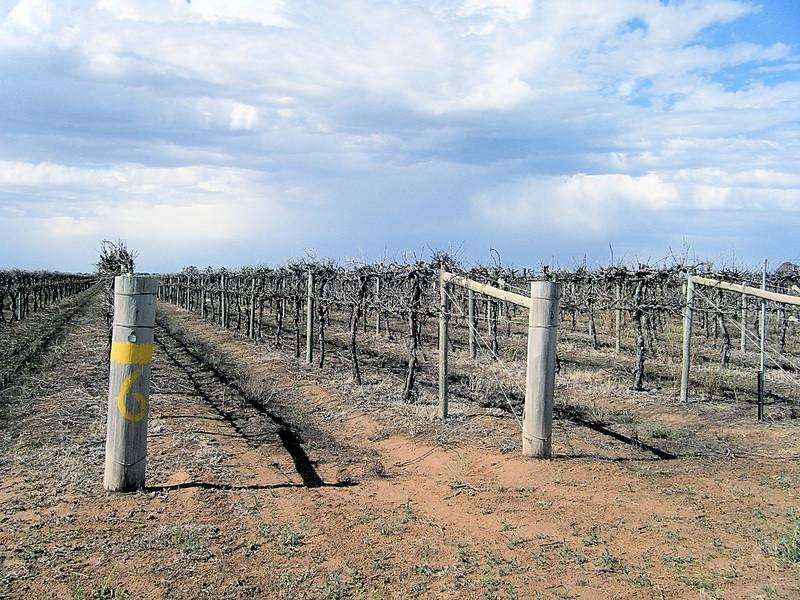 Lot 2,  Swamp Road, Red Cliffs VIC 3496