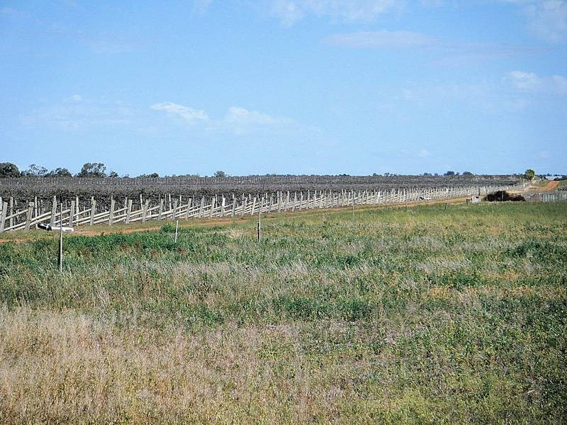 Lot 2,  Swamp Road, Red Cliffs VIC 3496
