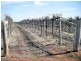 Lot 2,  Swamp Road, Red Cliffs VIC 3496