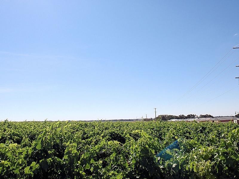 00 Cnr Ontario Avenue & Sixteenth Street, Mildura VIC 3500