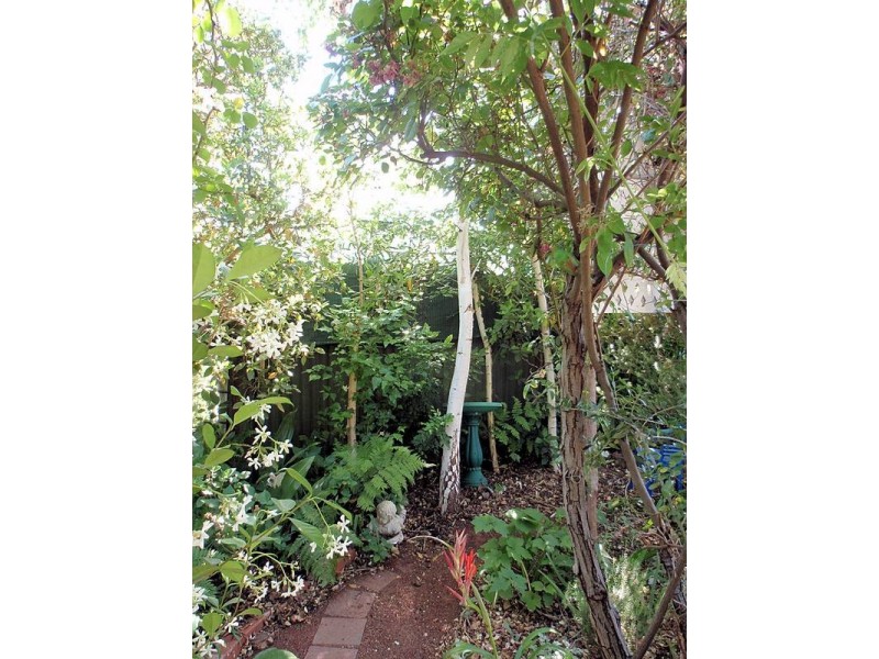 12 Elms Street, Irymple VIC 3498