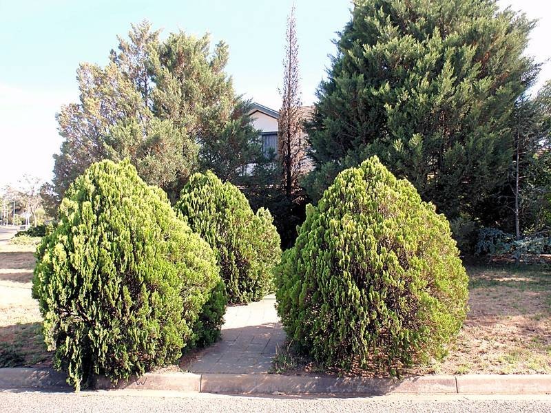 10 Plantation Street, Mildura VIC 3500