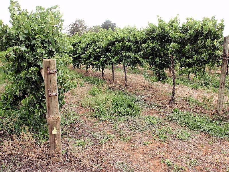 648 Dairtnunk Avenue, Cardross VIC 3496