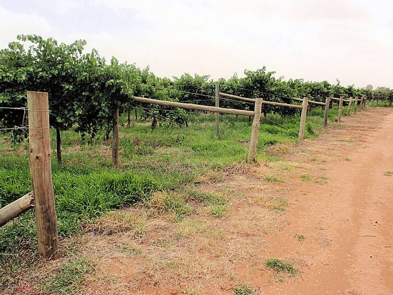 648 Dairtnunk Avenue, Cardross VIC 3496