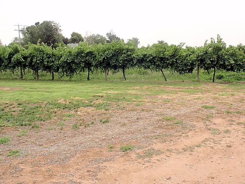 648 Dairtnunk Avenue, Cardross VIC 3496