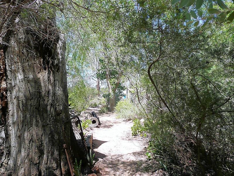 312 Dairtnunk Avenue, Cardross VIC 3496