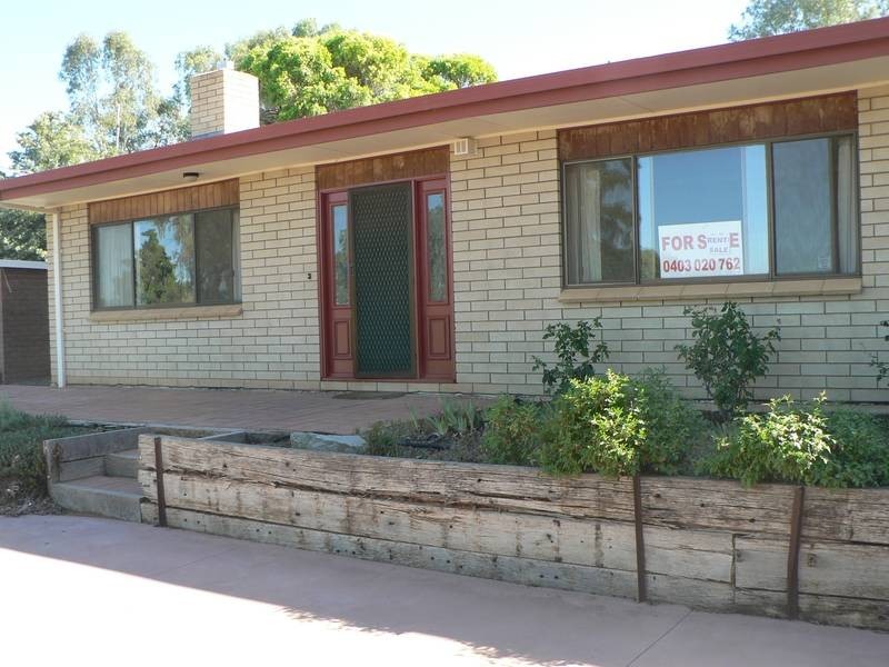 19 Riverview Drive, Dareton NSW 2717