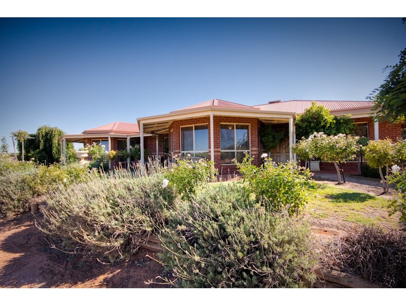 298 Millewa Road, Red Cliffs VIC 3496