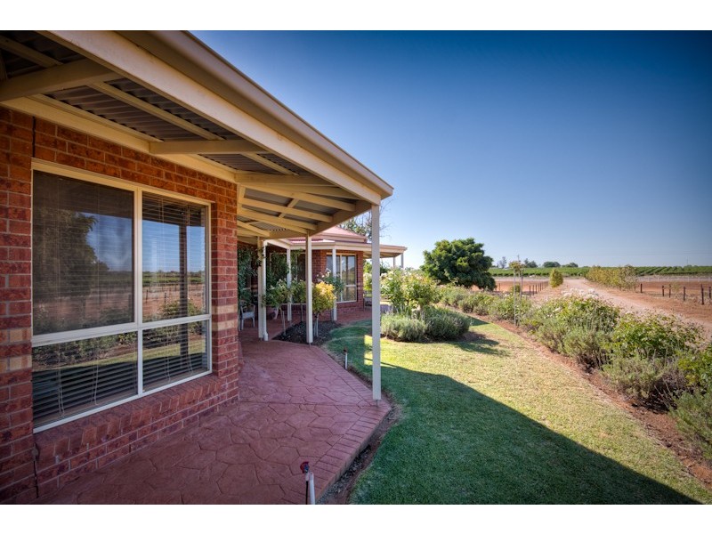 298 Millewa Road, Red Cliffs VIC 3496
