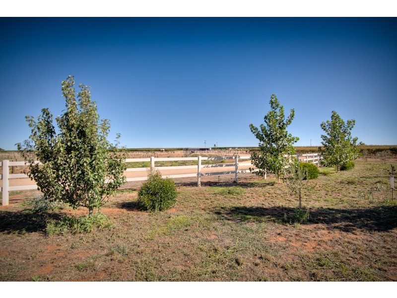 298 Millewa Road, Red Cliffs VIC 3496