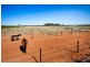 298 Millewa Road, Red Cliffs VIC 3496