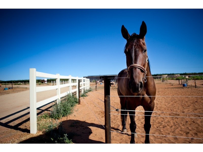 298 Millewa Road, Red Cliffs VIC 3496