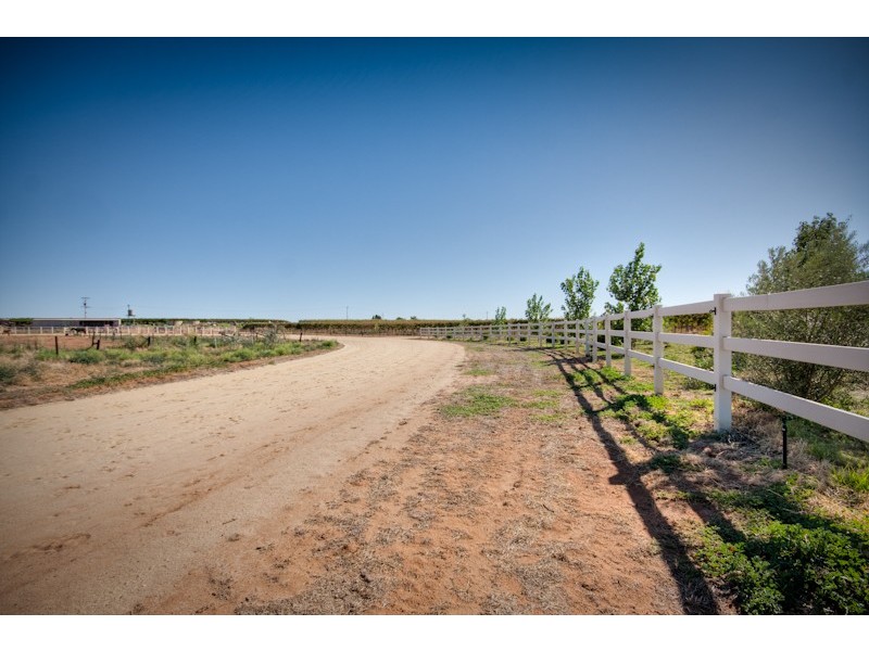 298 Millewa Road, Red Cliffs VIC 3496