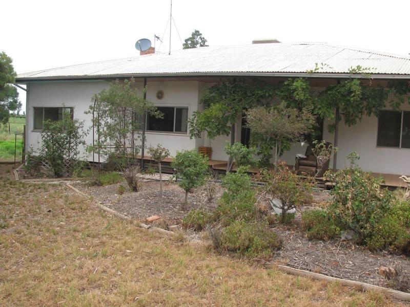 172 Dumosa Street, Red Cliffs VIC 3496