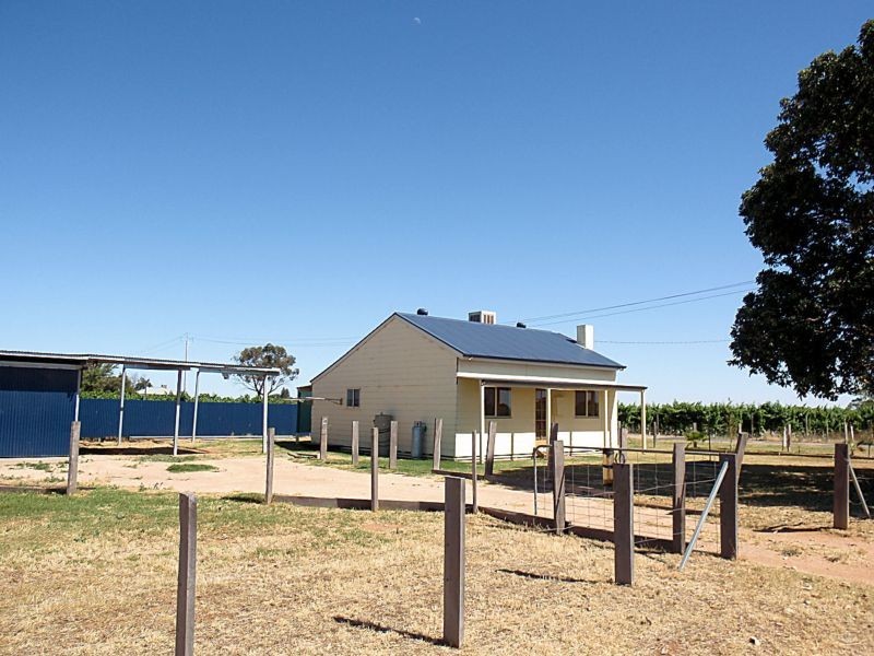 42 Fletchers Lake Road, Dareton NSW 2717