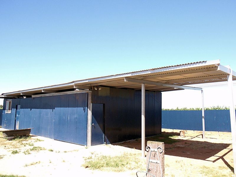 42 Fletchers Lake Road, Dareton NSW 2717
