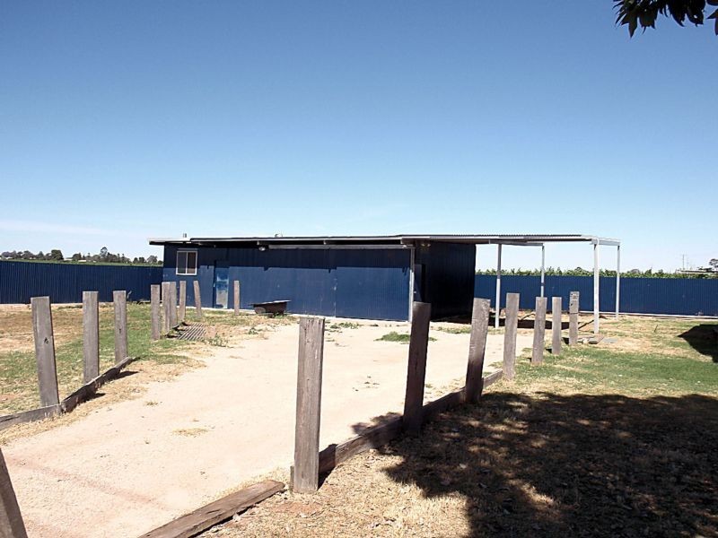 42 Fletchers Lake Road, Dareton NSW 2717