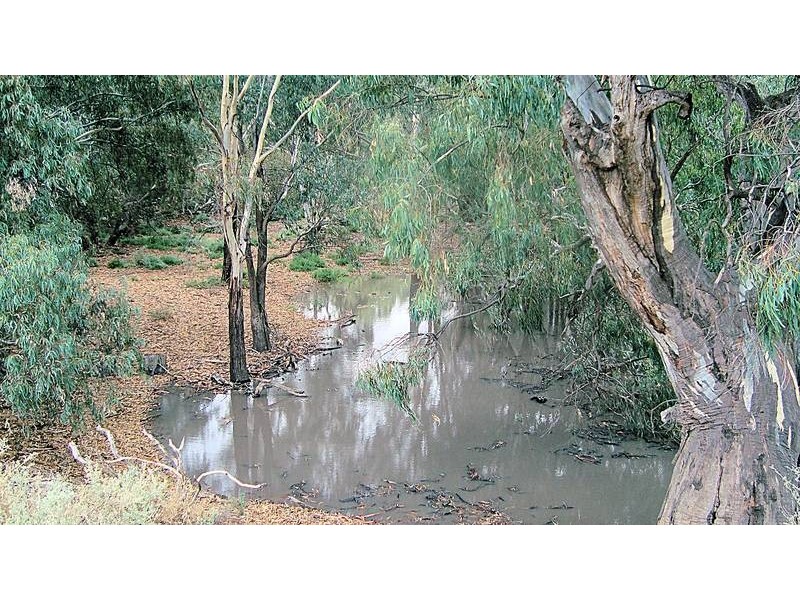 Lot 6 Pooncarie Road, Wentworth NSW 2648