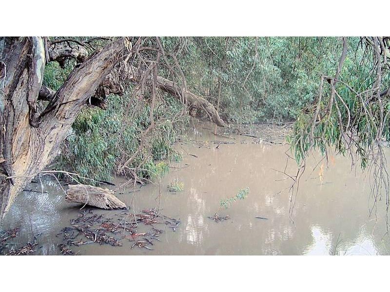 Lot 6 Pooncarie Road, Wentworth NSW 2648