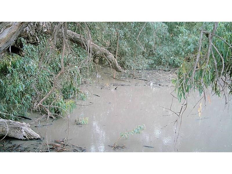 Lot 6 Pooncarie Road, Wentworth NSW 2648