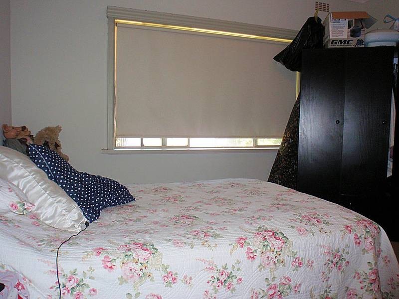 12 Tatra Avenue, Mildura VIC 3500