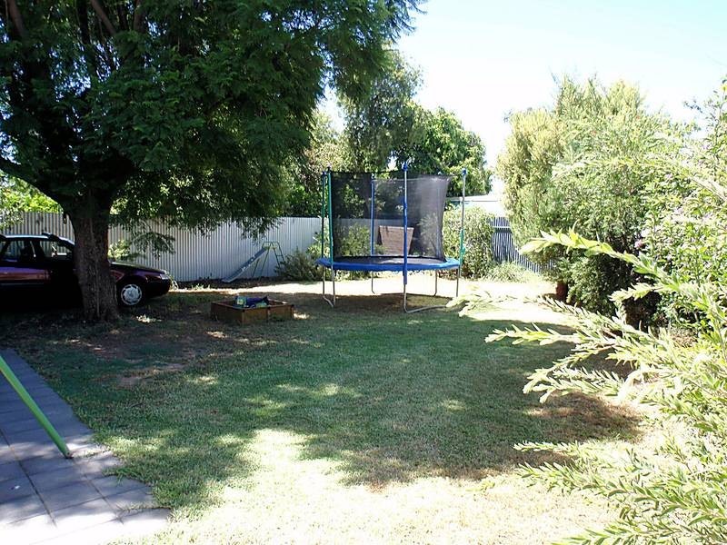 12 Tatra Avenue, Mildura VIC 3500