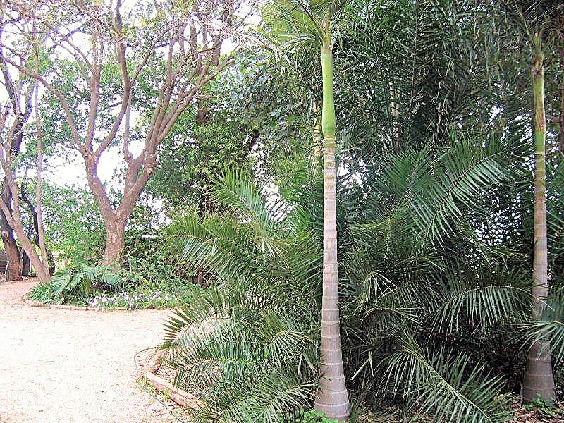 372 Boobook Avenue, Cardross VIC 3496