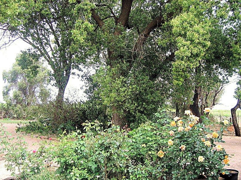 372 Boobook Avenue, Cardross VIC 3496