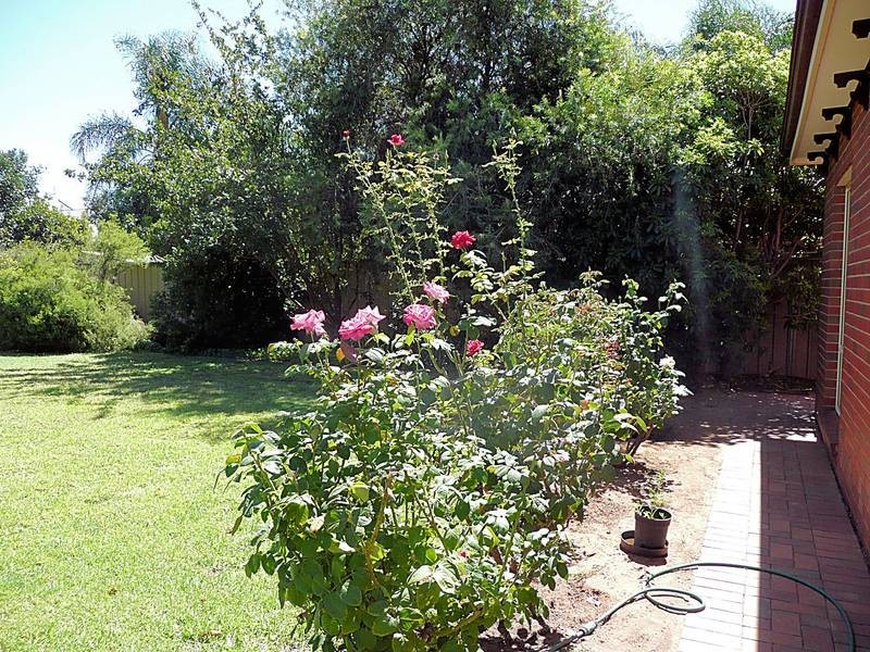 255 Twelfth Street, Mildura VIC 3500