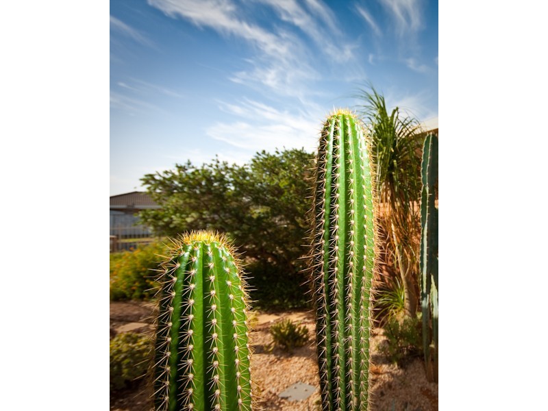 17 Beasy Court, Mildura VIC 3500