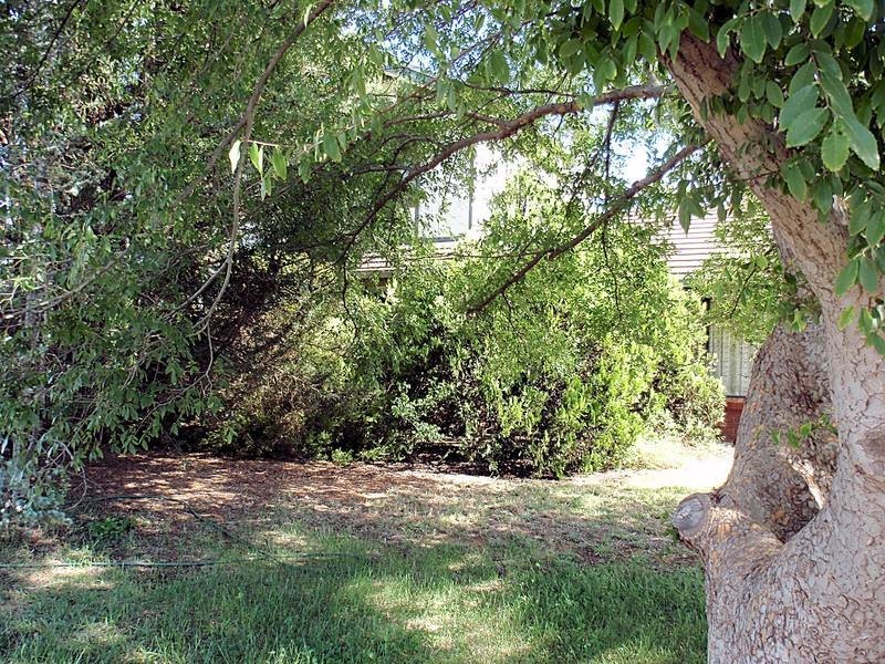 10 Plantation Street, Mildura VIC 3500