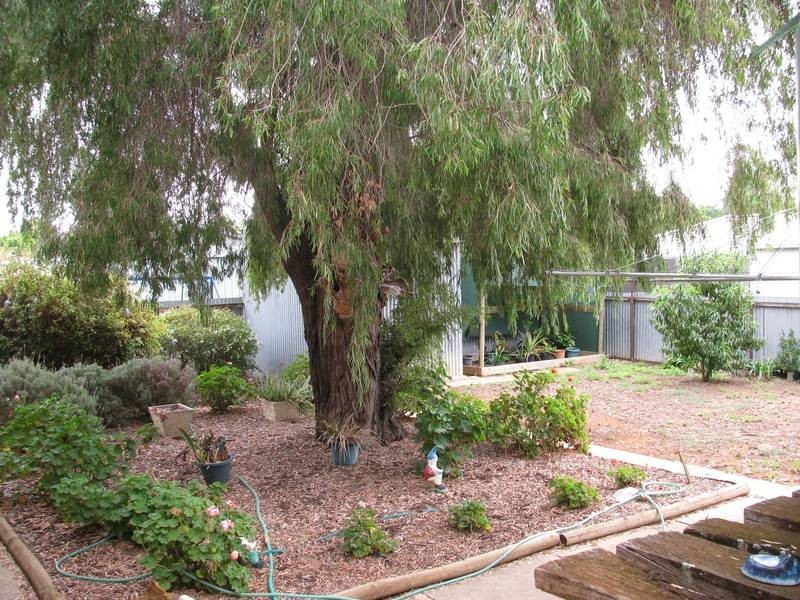 77 Chaffey Street, Merbein VIC 3505