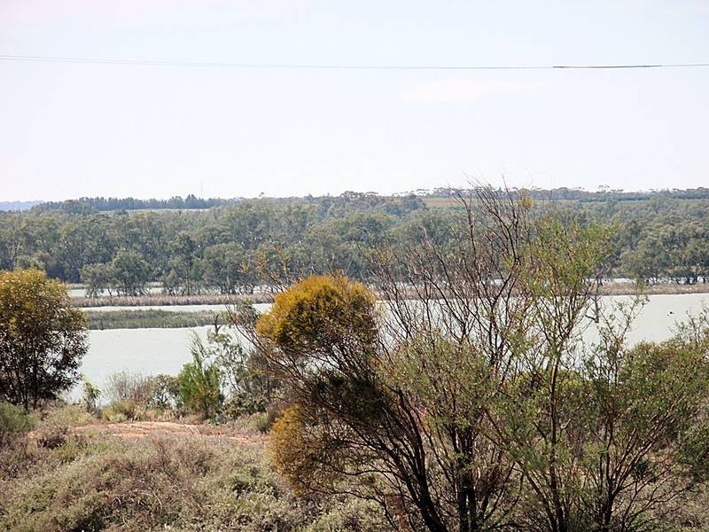 814 Cureton Avenue, Irymple VIC 3498