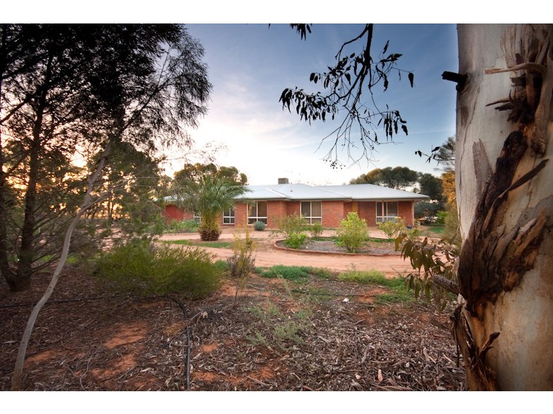 45 Laurel Avenue, Nichols Point VIC 3501