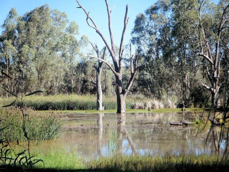 26 Cobb & Co Way, Gol Gol NSW 2738