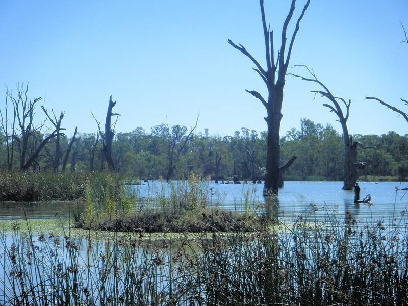 26 Cobb & Co Way, Gol Gol NSW 2738