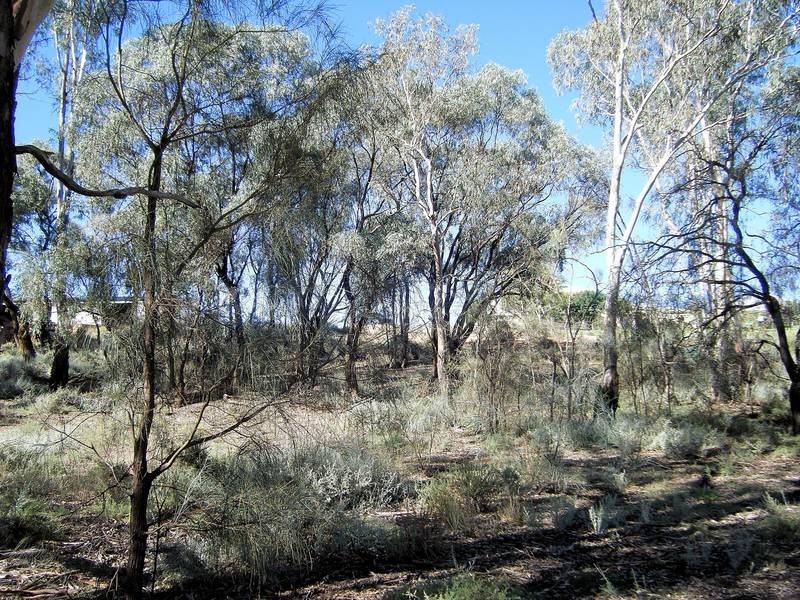 26 Cobb & Co Way, Gol Gol NSW 2738