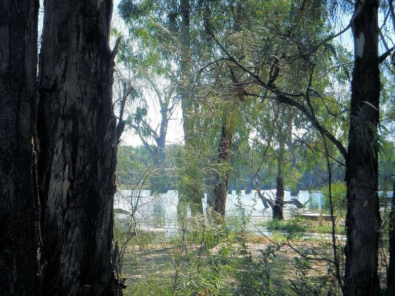 26 Cobb & Co Way, Gol Gol NSW 2738