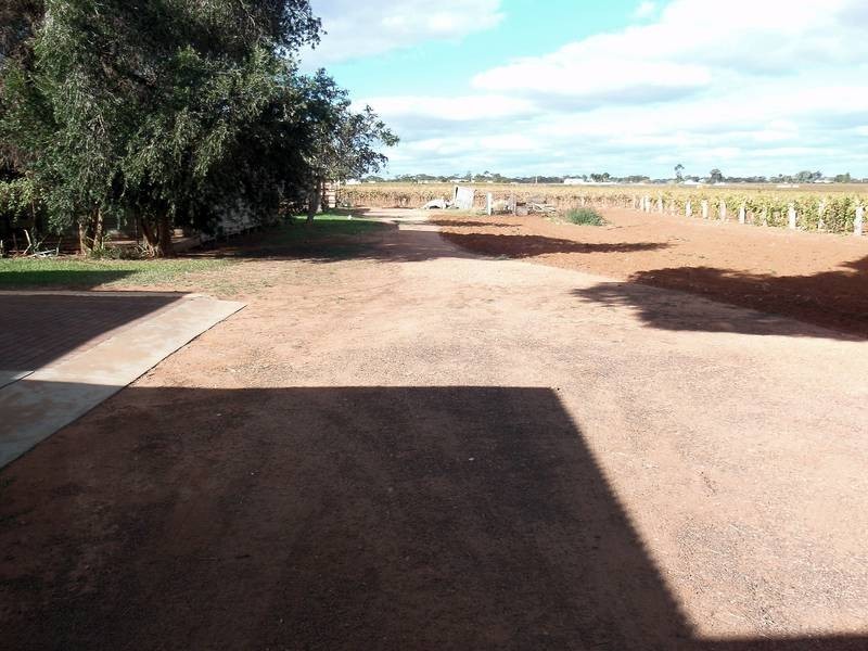 45 Oak Avenue, Birdwoodton VIC 3505