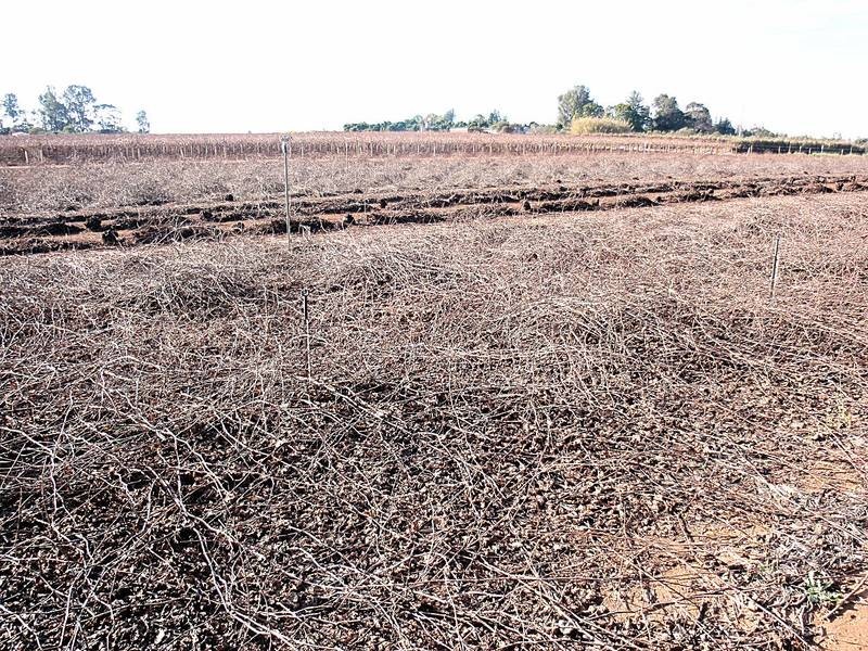 Lot 1 Twenty Second Street, Irymple VIC 3498