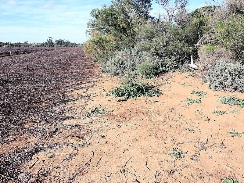 Lot 1 Twenty Second Street, Irymple VIC 3498