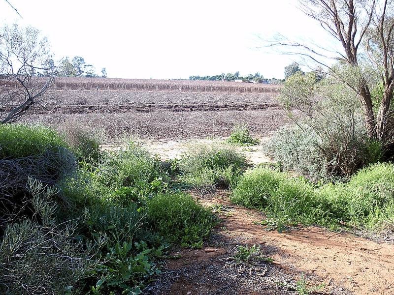 Lot 1 Twenty Second Street, Irymple VIC 3498