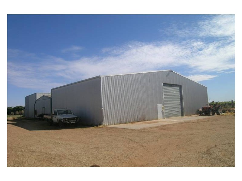 3090a Murray Valley Highway, Robinvale VIC 3549