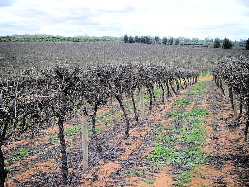 Lots 2&3 Kulkyne Way, Nangiloc VIC 3494