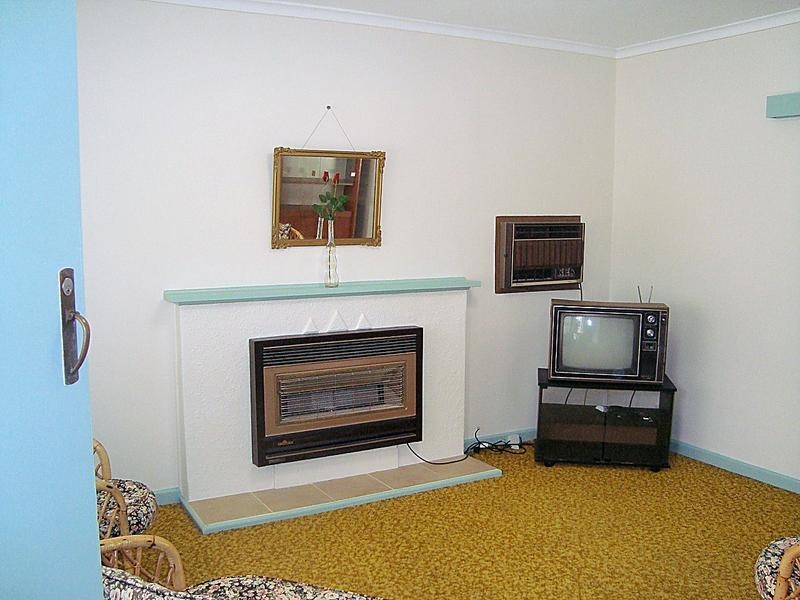 17 Avocado Street, Mildura VIC 3500