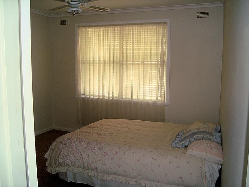 17 Avocado Street, Mildura VIC 3500